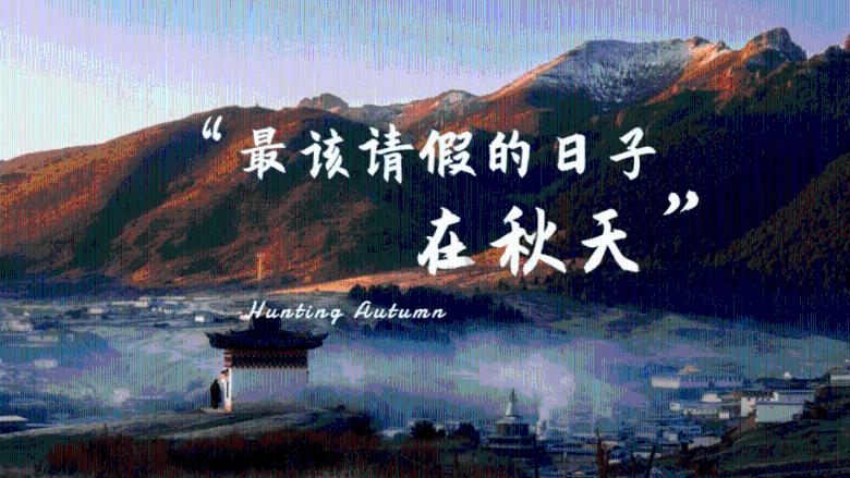 奥斯卡红毯秀