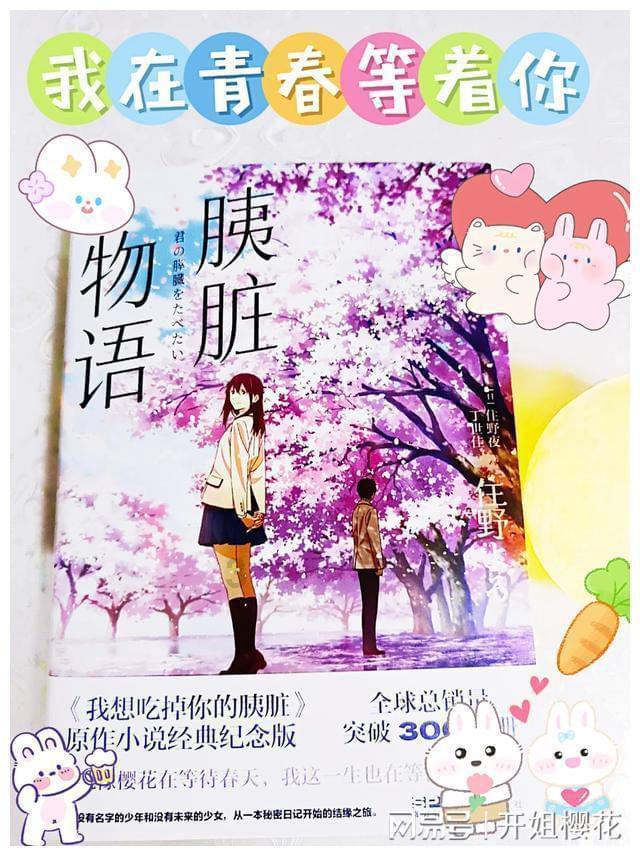 上升的五彩石